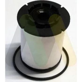 Palivový filtr Palivový filtr MOTAQUIP LVFF748