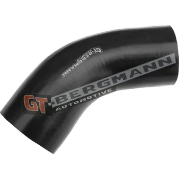 Turbodmychadlo Hadice plnícího vzduchu GT BERGMANN GT52-209