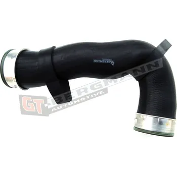 Turbodmychadlo Hadice plnícího vzduchu GT BERGMANN GT52-172