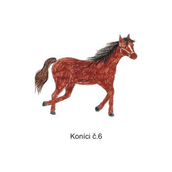 Informační tabulka Samolepky OZNAČENÍ TŘÍD - Koníci č.6 8504-91