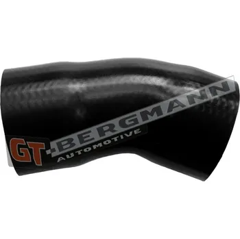 Turbodmychadlo Hadice plnícího vzduchu GT BERGMANN GT52-189