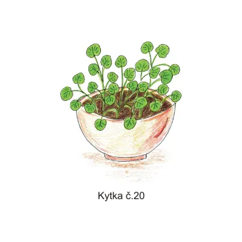 Informační tabulka Samolepky OZNAČENÍ TŘÍD - Kytičky č.20 8502-62