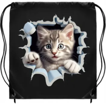 Školní batoh VAK ŠKOLNÍ školní batoh na tělocvik, sport, boty, trénink, s dírkou, KOT kočka s kočkou WB_120