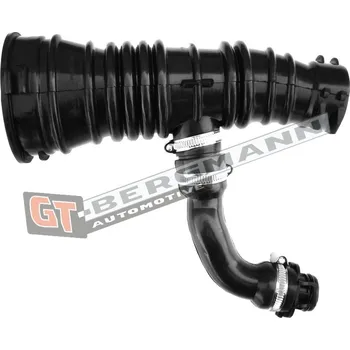 Vzduchový filtr Sací hadice, vzduchový filtr GT BERGMANN GT52-196