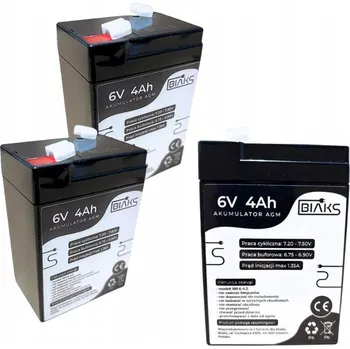 Záložní baterie 2x Akumulátor AGM 6V 4Ah BIAKS (rozměr jako 4.5Ah 5Ah) pro CCTV, svítilnu, váhu, pokladnu