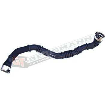 Turbodmychadlo Hadice plnícího vzduchu GT BERGMANN GT52-075