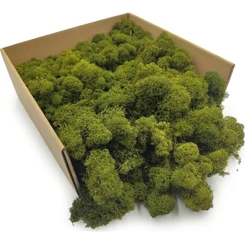 Obraz Mech Chrobotek Sobí - Finský - Čištěný - Olivový 500g NETTO