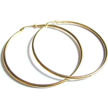 Náušnice Steel Jewelry Náušnice KRUHY Chirurgická ocel NS151216 dárkové balení zdarma