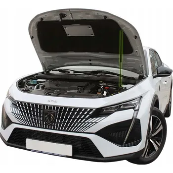 Kapota PÍSTNICE PRUŽINY KAPOTY MOTORU SADA PEUGEOT 408 III