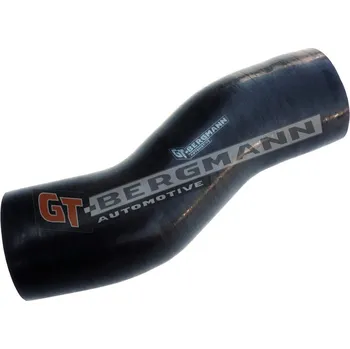 Turbodmychadlo Hadice plnícího vzduchu GT BERGMANN GT52-261