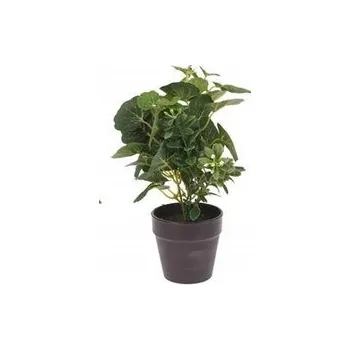 umělá květina UMĚLÝ KVĚT V ČERNÉM KVĚTINÁČI 20CM DEKORACE Lichořeřišnice