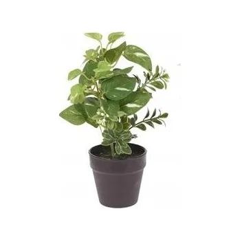 umělá květina UMĚLÝ KVĚT V ČERNÉM KVĚTINÁČI 20CM DEKORACE Filodendron Bílý