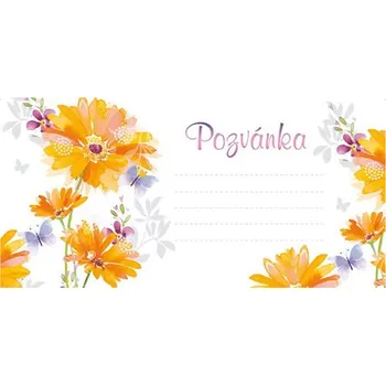 Pozvánka Pozvánka na párty H / 2403-0007 / Summer Flowers - sada 10 ks 451238