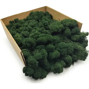 Obraz Mech Chrobotek Sobí - Finský - Čištěný - Tmavě Zelený 500g