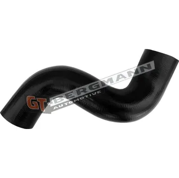 Turbodmychadlo Hadice plnícího vzduchu GT BERGMANN GT52-703
