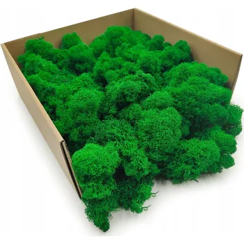 Obraz Mech chrobotek sobí - finský - čištěný - zelený 500 g netto