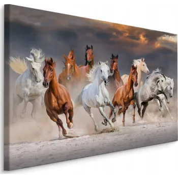 Obraz Nástěnný obraz do obýváku KONĚ v poušti 3D 120x80 cm