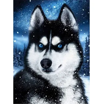 Diamantové malování Diamantové malování/Huacan - Pes Husky