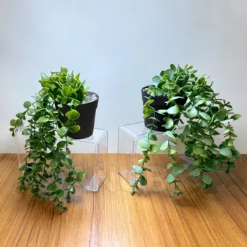 Umělá rostlina - v květináči, plazivá - 16 x 26 cm