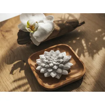 Aroma difuzér WHITE ORCHID Aroma kámen Sukulent