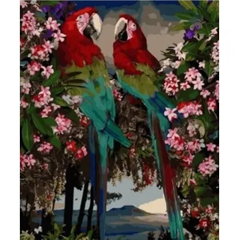 Diamantové malování Norimpex Diamantový obrázek Papoušci v květech 30x40cm