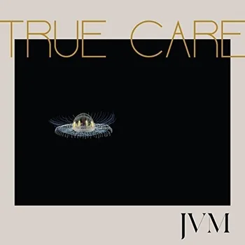 Zahraniční hudba James Vincent McMorrow - True Care /2LP+MP3 (2017) (2LP, AP008LP)