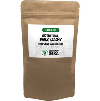 DOKONALÁ LÁSKA B41 bylinná směs podpora při chronické artritidě a kloubních potížích 100g