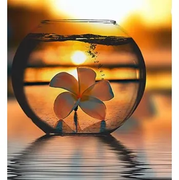 Diamantové malování Diamantové malování/Huacan - Kvítko v dóze při západu