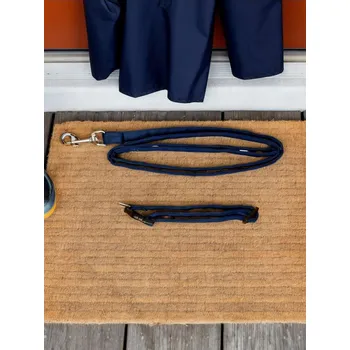 Obojek pro psa Sinsay - Sada: obojek a vodítko pro psa - mid blue - 955FU-52X - 955FU-52X-ONE