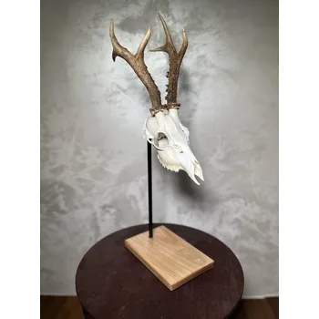 Hunter-deco Stojan na srnčí trofeje vel. L Barva: Dřevo