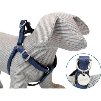Postroj pro psa Postroj Mylord modrá 2,5x60-100 cm