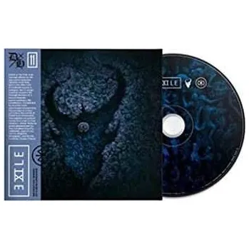 Zahraniční hudba CD Demon Hunter: Exile 2022