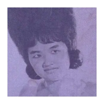 Zahraniční hudba CD Various: Wounds Of Love: Khmer Oldies, Vol. 1 2021