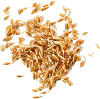 Travní směs Greenkeeper psineček výběžkatý cy 2 (G12) Hmotnost: 10 kg