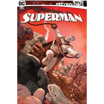 Komiks pro dospělé Stan przyszłości. Superman - praca zbiorowa