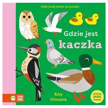 Gdzie jest kaczka - Vincent, Kay