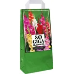 Vilmorin Large Flowering mečík mix 80 ks