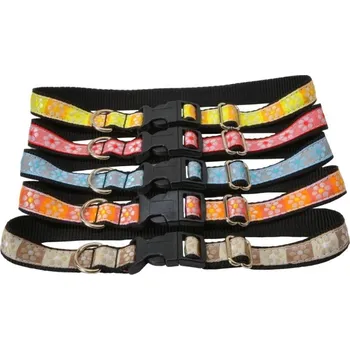 Obojek pro psa Obojek popruh kytka 50 x 2 cm