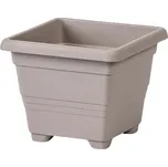 Plastia Begonia 30 cm