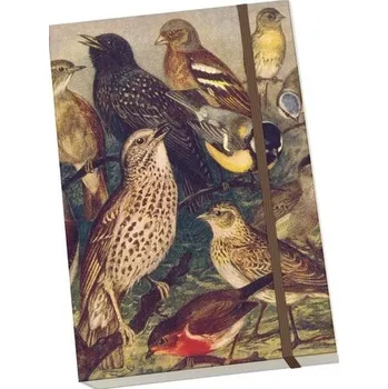 Set školních potřeb Notatnik ozdobny A5 STNOTE 129 Ptaki