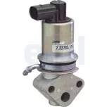 AGR-Ventil DELPHI EG10292-12B1