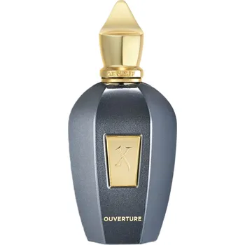 Unisex parfém Xerjoff Ouverture Eau de Parfum Parfemovaná voda - Tester 100ml, unisex