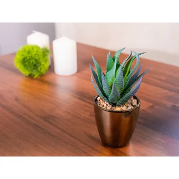 Květináč Sukulent MagicHome S15643, 17 cm, květináč - plast, zlatý