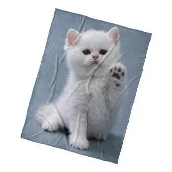 Mikroplyšová deka Koťátko Dej Pac 150x200 cm (cs, Povlečeme vše)
