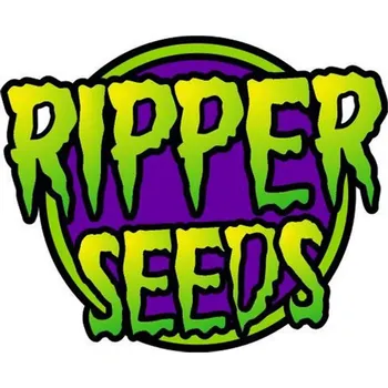 Semeno Ripper Seeds CandyGaz