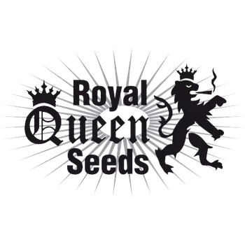 Semeno Royal Queen Seeds Mexican Rush