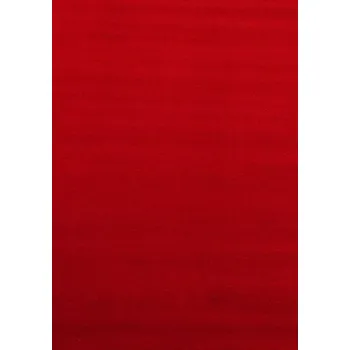 Koberec Hans Home Kusový koberec Sky 5400 Red - 60x110