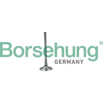 Ventil motoru Sací ventil BORSEHUNG B19026