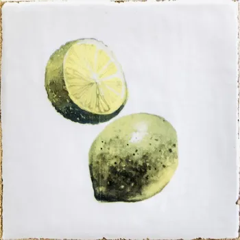 Obklad FORLI obklad Fruits Decor Mix 15x15 FOL017