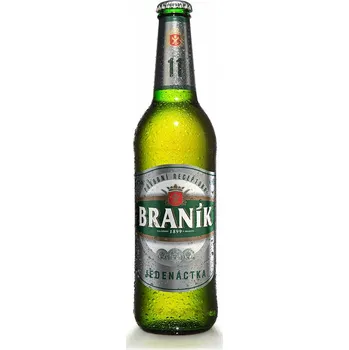 Pivo Braník 11, světlý ležák, 20x0,5l